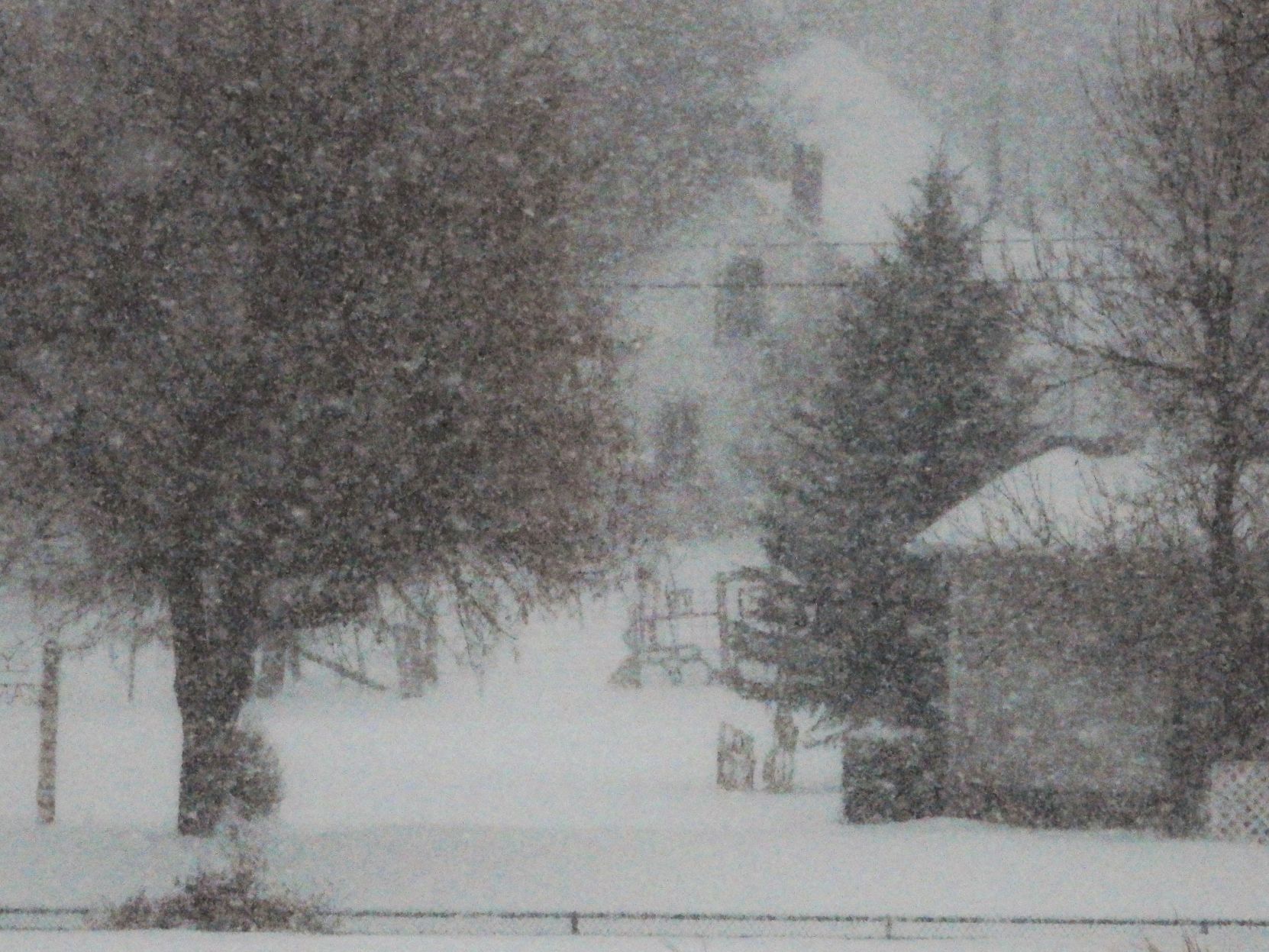 Black Hills Blizzard